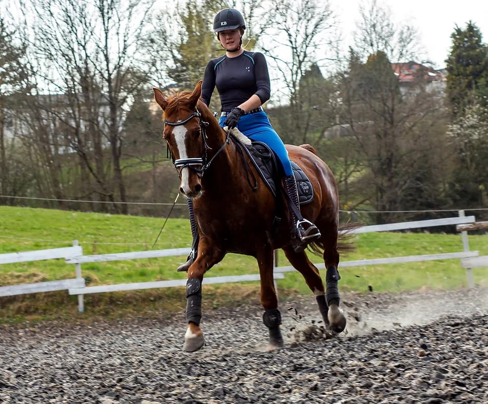 Eschenhof Althütte Reiten lernen